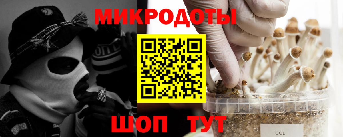 сколько стоит  Вход с VPN  Кимовск  Галлюциногенные грибы Magic Shrooms 